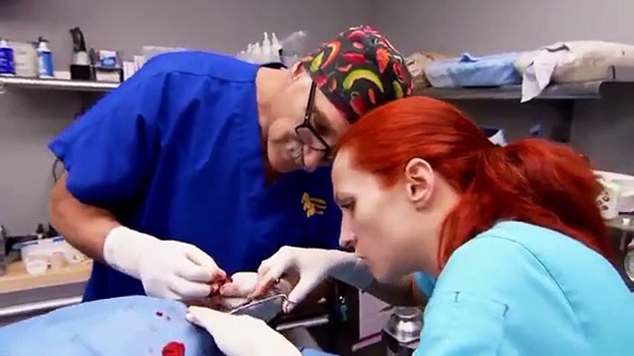 Dr. Jeff - Rocky Mountain Vet - Se3 - Ep08 HD Watch