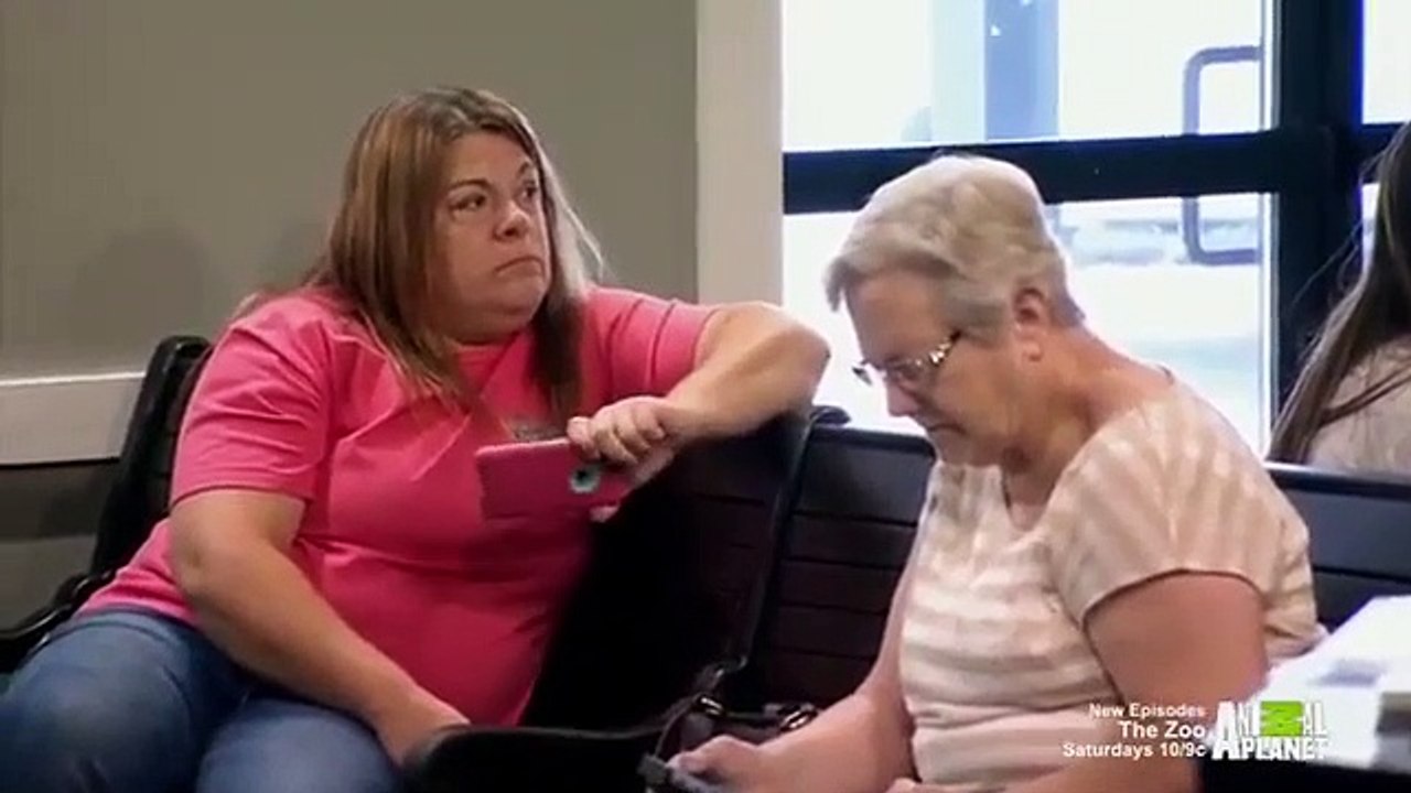 Dr. Jeff - Rocky Mountain Vet - Se3 - Ep06 HD Watch