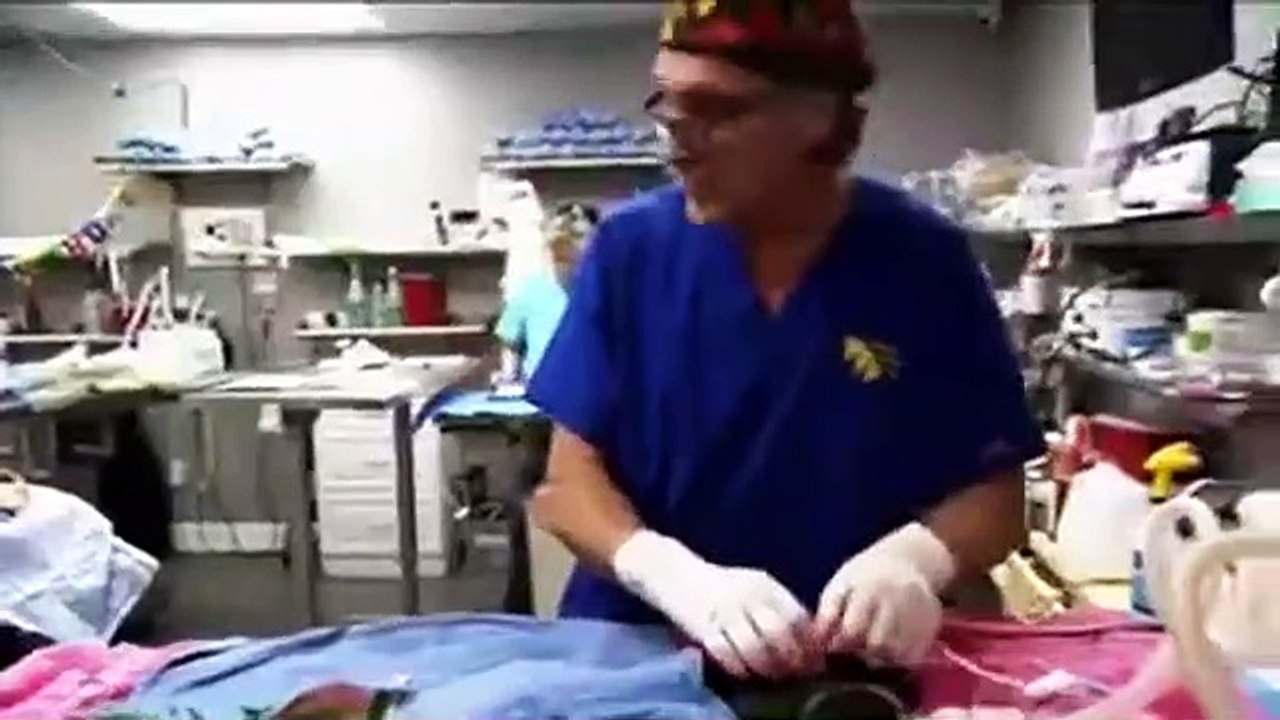 Dr. Jeff - Rocky Mountain Vet - Se4 - Ep01 HD Watch