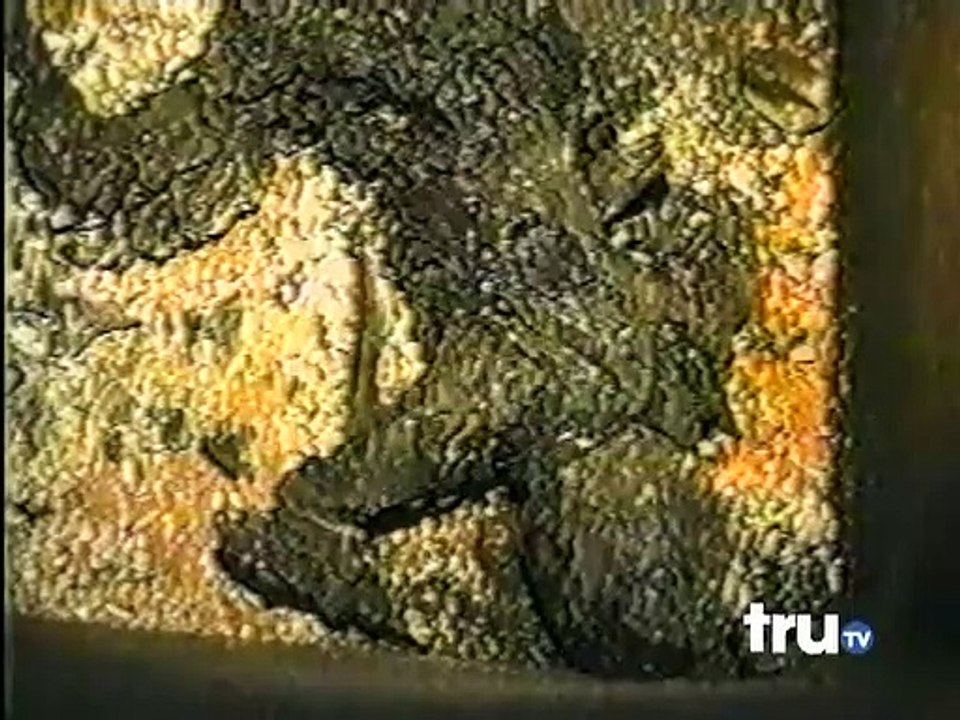 Forensic Files - Se2 - Ep08 HD Watch