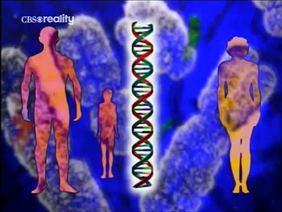 Forensic Files - Se2 - Ep04 HD Watch