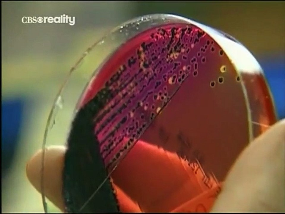 Forensic Files - Se2 - Ep13 HD Watch