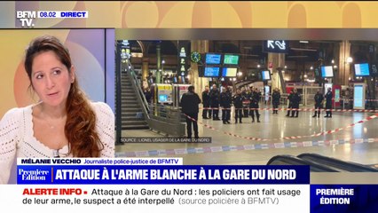 Paris: un homme blesse plusieurs personnes à l'arme blanche à la gare du Nord avant d'être neutralisé