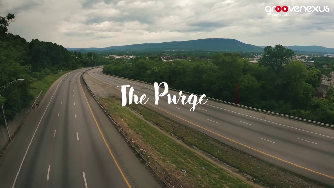 The Purge by Rahul Raj SIngh