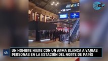 Un hombre hiere con un arma blanca a varias personas en la Estación del Norte de París