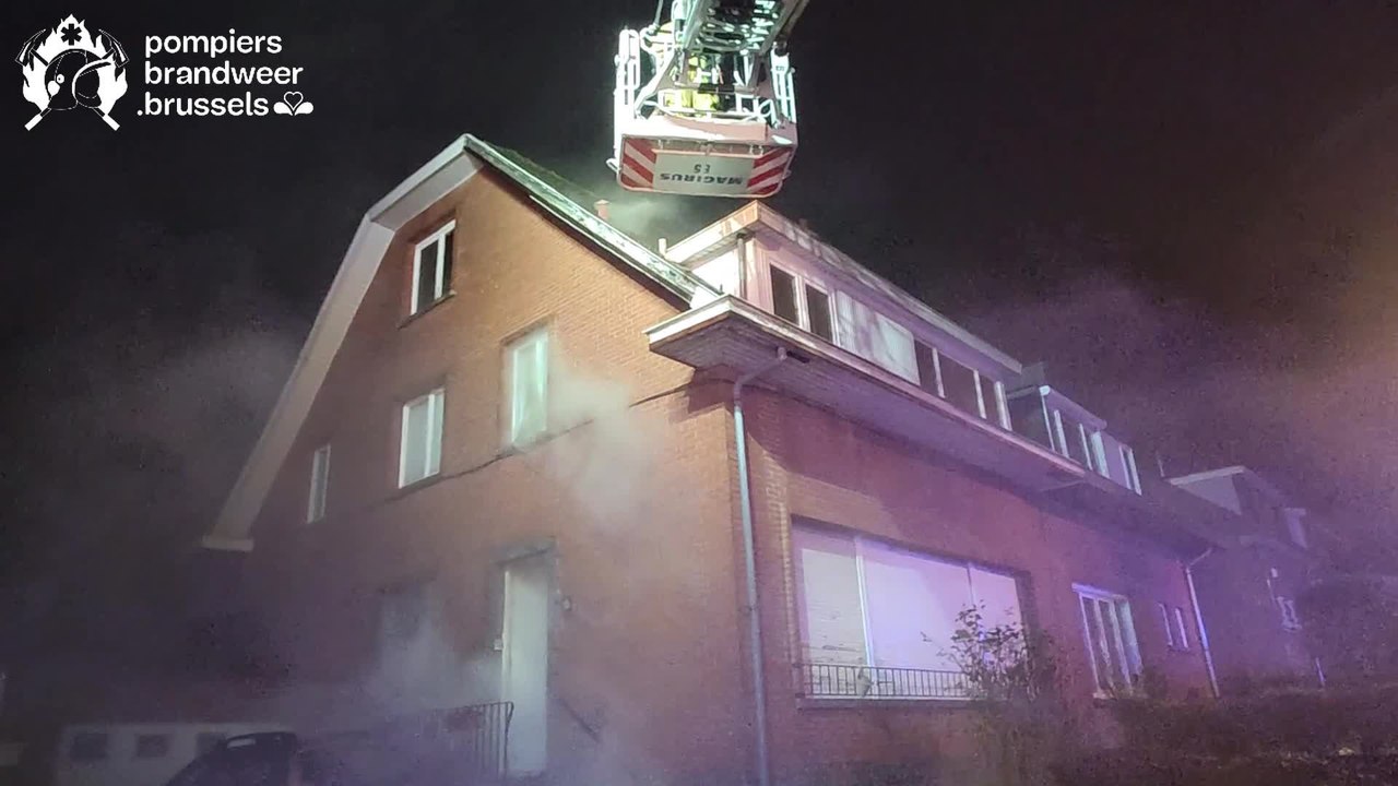 Des chats et un canaris périssent dans un incendie rue Rabelais à Anderlecht