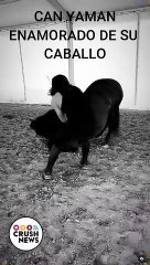 Can Yaman enamorado de su caballo durante el rodaje de 'El Turco' en Budapest