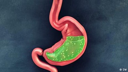 ¿Cómo Funciona el Estómago? Descubre su Papel en la Digestión 🧠