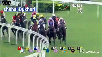 Horse Race - last to first