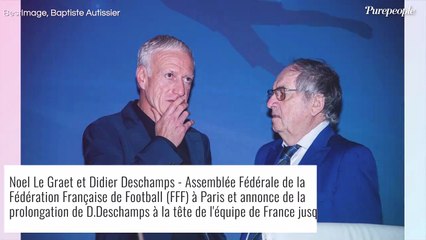 "Il n'est pas normalement constitué" : Noël Le Graët atomisé par une figure bien connue du football français