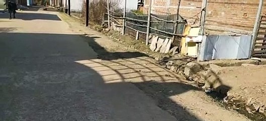 The municipality is not serious about the illegal connections made wit