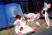Pinky and the Brain Pinky and the Brain S03 E004 Pinky & the Brain…and Larry