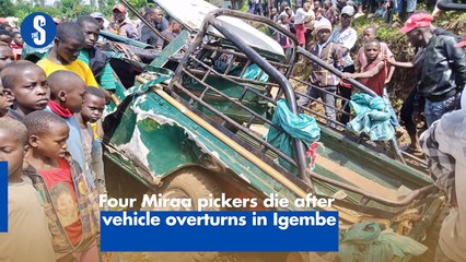 Four Miraa pickers die after vehicle overturns in Igembe