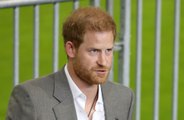 Prince Harry wants his kids to have relationships with other members of the royal family