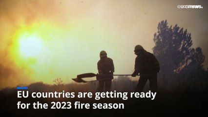 Wildfire damages cost €2 billion last year, says EU Commissioner