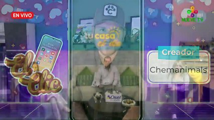 Tu Casa al Día En Vivo - 11 de enero de 2023