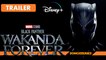 Black Panther Wakanda Forever Disney+ Trailer Español Estreno Febrero 2023