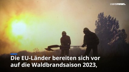 EU-Kommission: 2022 zwei Milliarden Euro Schaden durch Waldbrände