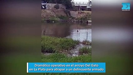 Dramático operativo en el arroyo Del Gato en La Plata para atrapar a un delincuente armado