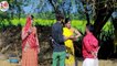 भंवरी देवी पायल रंगीली की न्यू मारवाड़ी देसी कॉमेडी - Payal Rangili, Bhawari Devi - Rajasthani COMEDY Video