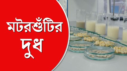 মটরশুঁটির দুধ, রুশ বিজ্ঞানীদের অভিনব প্রযুক্তি
