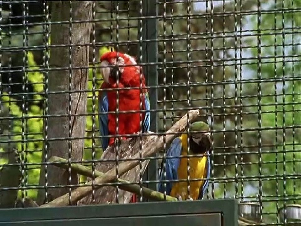 Unser Charly Staffel 10 Folge 8