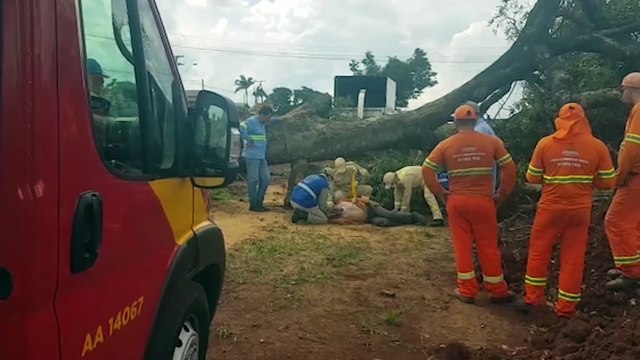 Durante poda de árvore homem é atingido por tronco e precisa ser socorrido