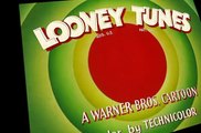 Looney Tunes Golden Collection Looney Tunes Golden Collection S04 E052 Kiss Me Cat