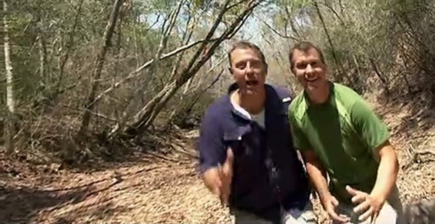 Wild Kratts S03 E25