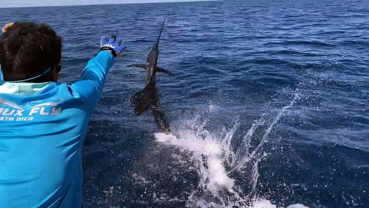 Marlin Expeditions - Costa Rica