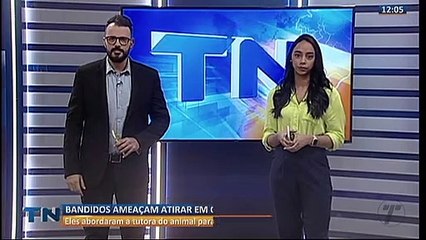 Criminosos ameaçam atirar em cachorro durante assalto