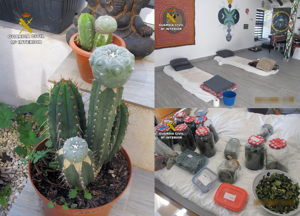 La Guardia Civil detiene a dos curanderos británicos que suministraban alucinógenos en Murcia