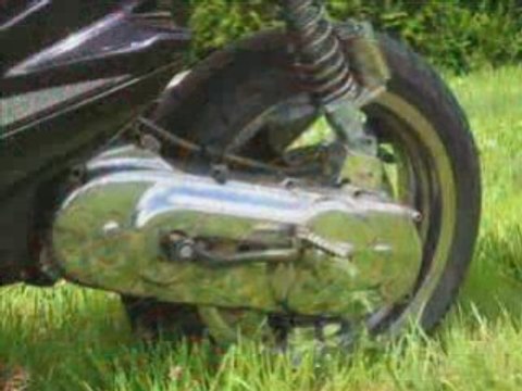 mon futur nitro polini