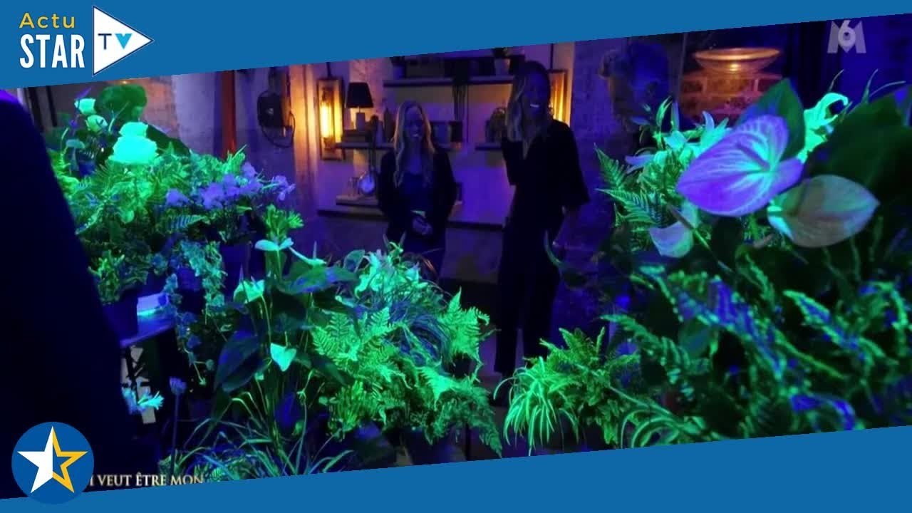 "Dinguerie", "fascinant", "idée de génie"... Les internautes emballés par Aglaé et ses plantes lumin