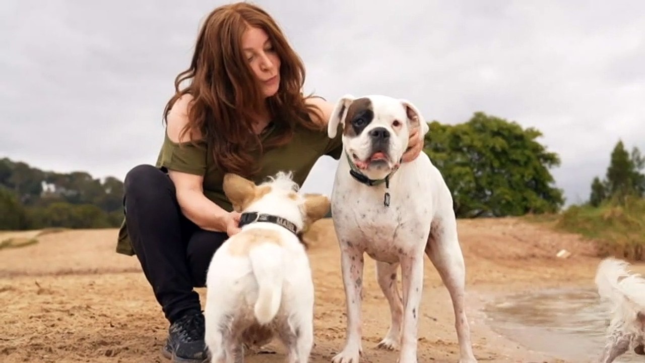 Local residents are backing a push by Northern Beaches council to trial two new dog beaches