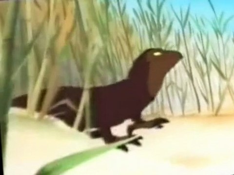 Noah's Island Noah’s Island S02 E013 Taking Tortoises to Diamantina