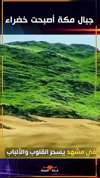 اكتست جبال مكة المكرمة بالخضرة الطاغية ! #shorts
