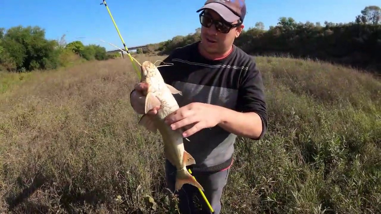 Pesca de Bagres con Anzuelo, Increíble como salió el Papa Moncholo, Arroyo San Miguel