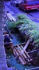 Plumber Falls From Ladder