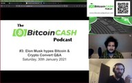 The Bitcoin Cash Podcast #3 Elon Musk hypes Bitcoin & Crypto Convert Q&A