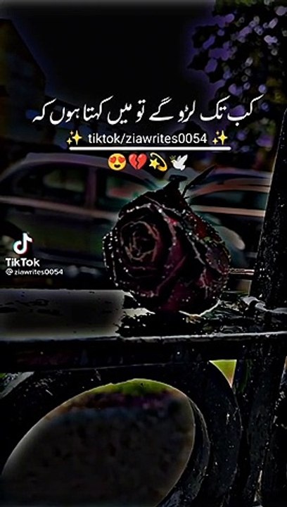 fe66fb68768342989dc392f4888b1e9b
