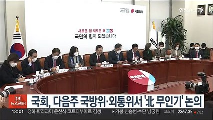국회, 다음주 국방위·외통위서 '北 무인기' 현안질의