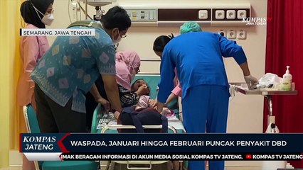 Waspada, Januari hingga Februari Puncak Penyakit DBD