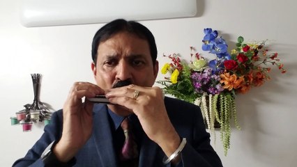 Dil Hai Chhota Sa - Film Roja 1992 on Harmonica Live Performance by Mukund Kamdar