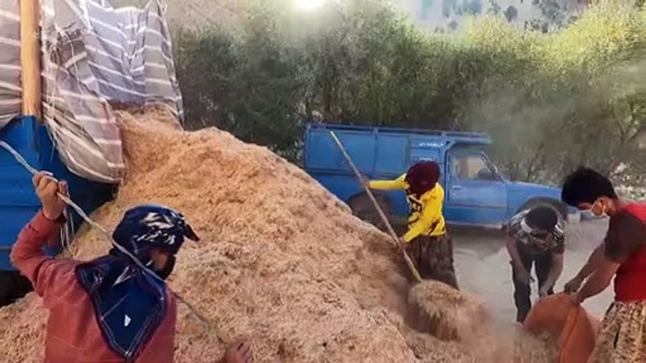 Birth of a Baby Goat in  Village Storing Straw for Livestock in Winter _ Villagers in Iran