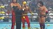 WCW Superstar Series Hollywood Hogan Why I Rule the World - Wrestling Biography