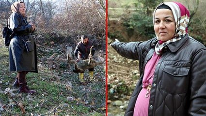 Rüyasında gördü, kurban kesip kazılara başladı! Doğru çıkarsa turnayı gözünden vuracak