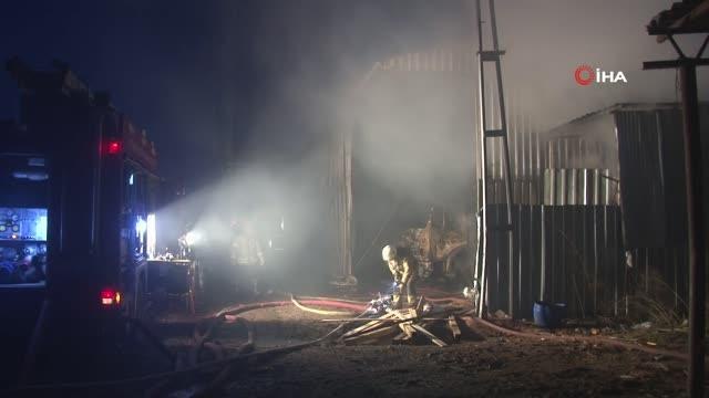 Çatalca'da ahırda çıkan yangında 7 büyükbaş telef oldu