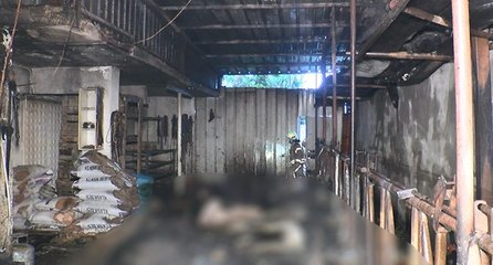 Çatalca’da ahır yandı; 7 büyükbaş telef oldu