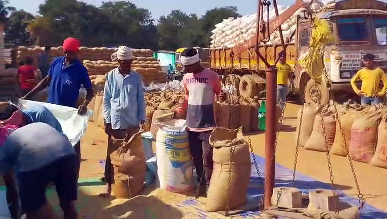 धान खरीदी केंद्रों में धान की  में हुई तेजी